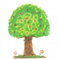 Dessin de l'arbre