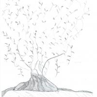 Dessin de l'arbre