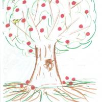 Dessin de l'arbre